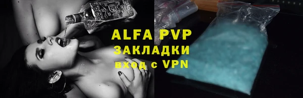 прущие крисы Ельня