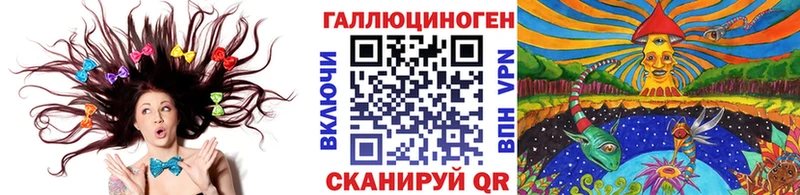 Галлюциногенные грибы Psilocybine cubensis  Купить где  Иланский 